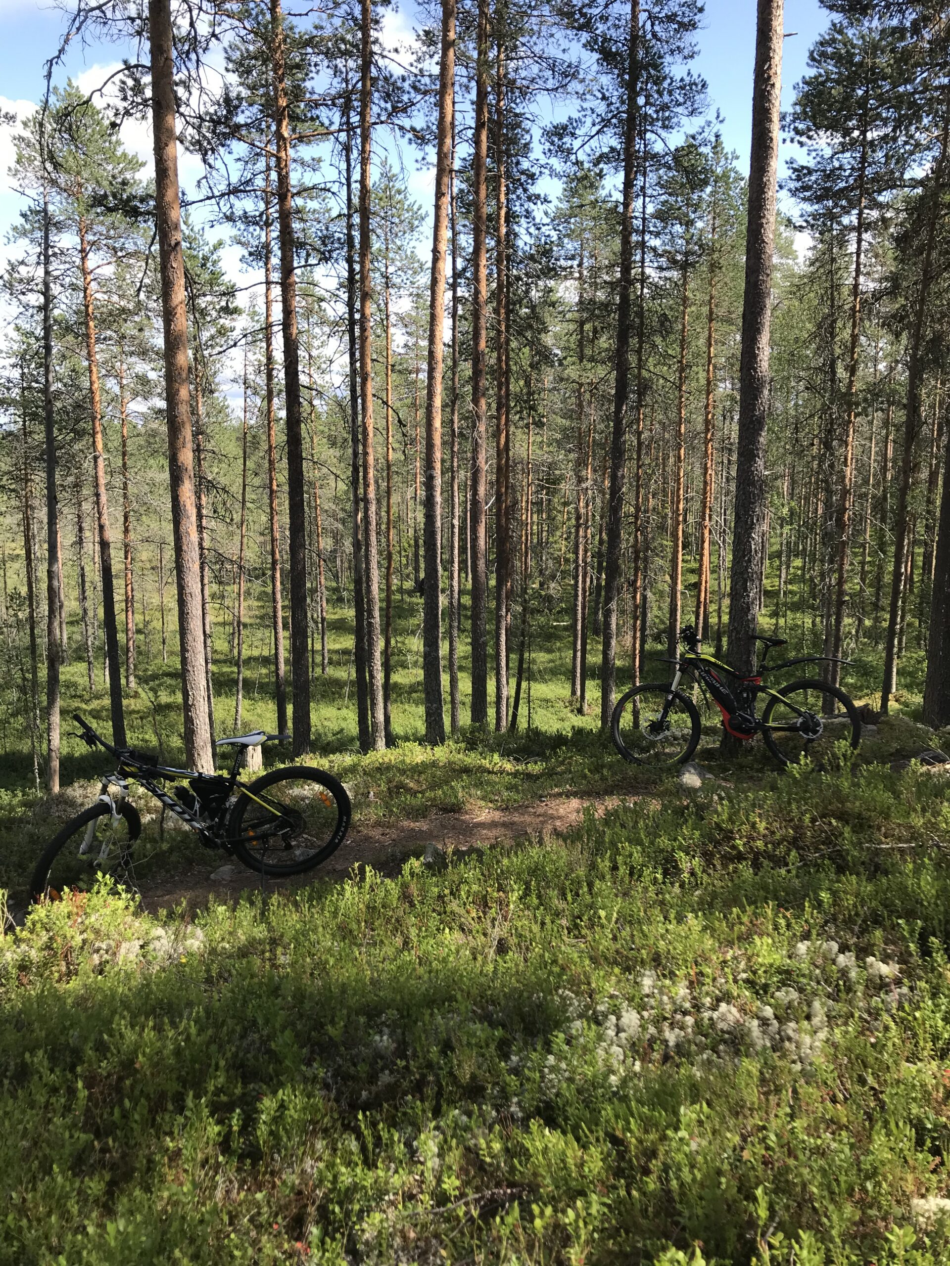cyklar i skogan rbn